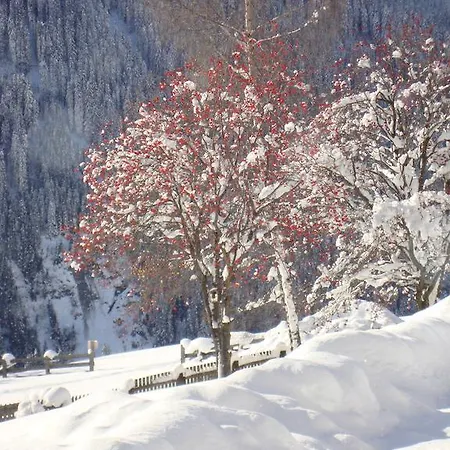 Gasthof Obererlacher 3*